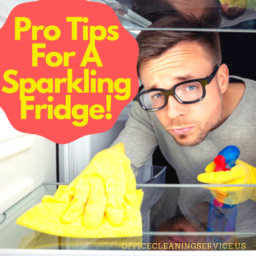 Pro Tips For A Sparkling Fridge