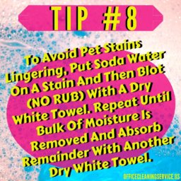 Professional Cleaning Tips