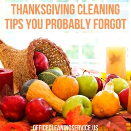 Thanksgiving Cleaning Tips You Probably Forgot