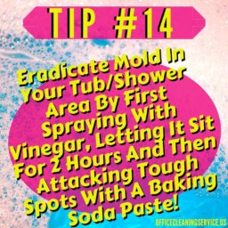 Lombard Cleaning Tip 14