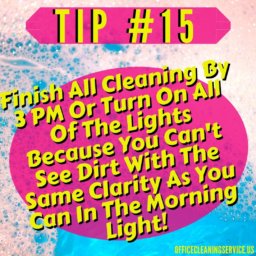 Tinley Park Cleaning Tip 15