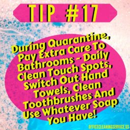 Bridgeview Cleaning Tip 17
