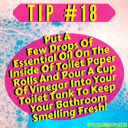 Chicago Cleaning Tip 18