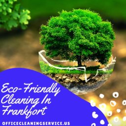 Eco-Friendly Cleaning In Frankfort