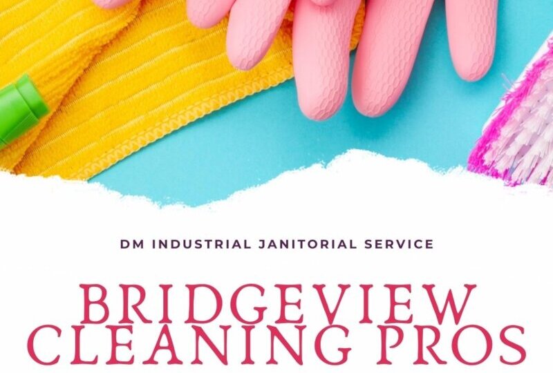 Bridgeview Cleaning Pros