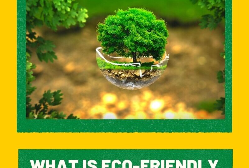 What Is Eco-Friendly Cleaning_